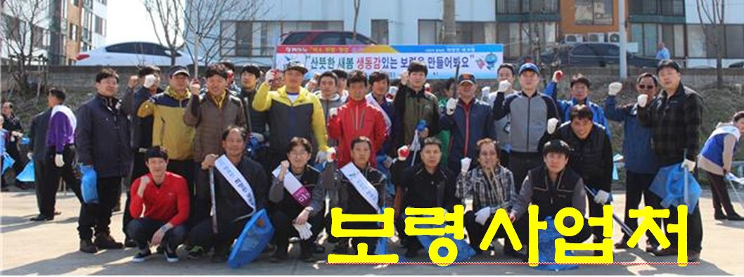 [보령사업처] 보령시 봄맞이 대청소 활동